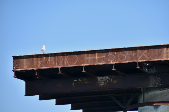 Echoes of an earlier time